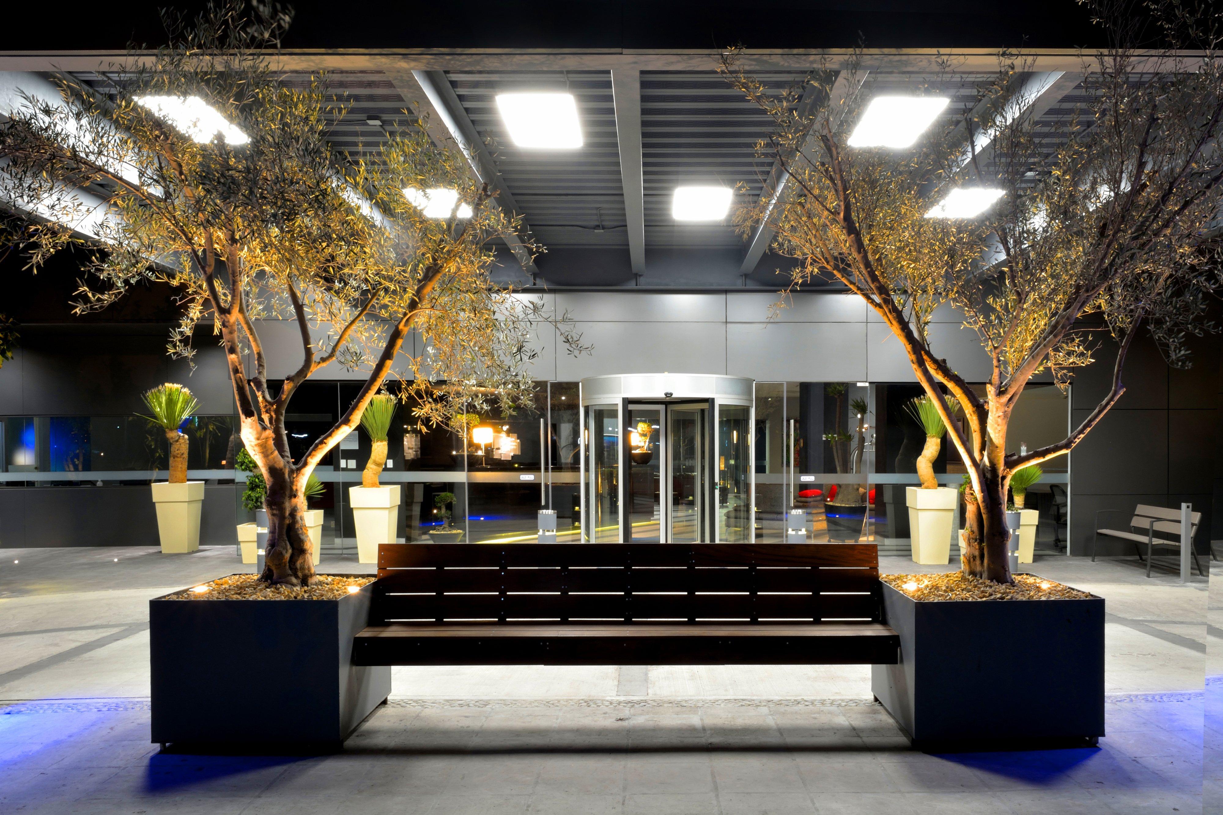 Holiday Inn Express Pachuca By Ihg Extérieur photo